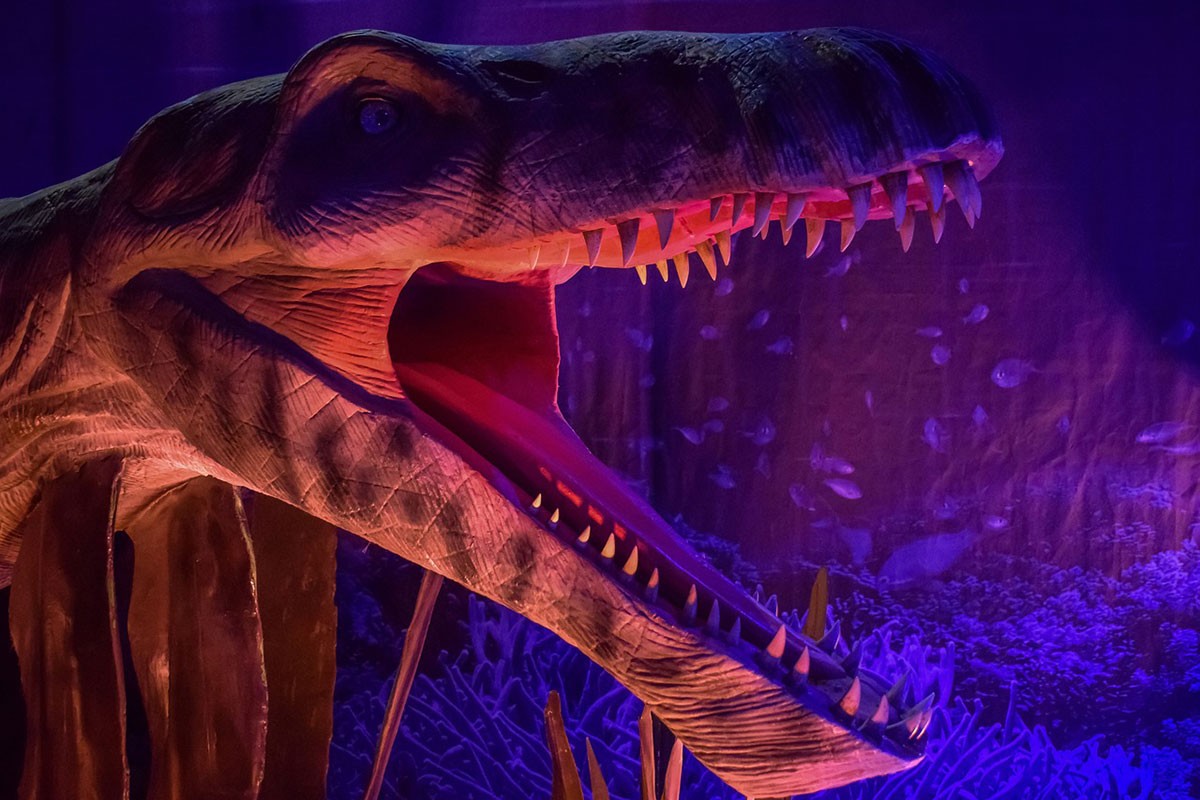 Naučnici otkrili dinosaurusa koji je cvrkutao kao ptica?