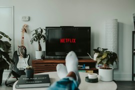 Uhapšeni prevaranti u Srbiji: Lažnim SMS porukama o Netfliksu ukrali ...