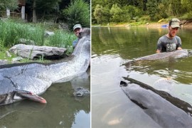 Ribolovac oborio rekord: Ulovio soma od 268 cm (FOTO)