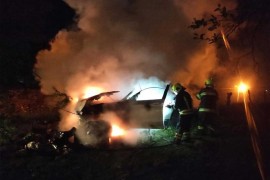 Požar u Derventi: Gorjeli automobil i više drvenih objekata