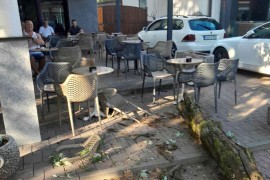 Grana se odlomila i pala u baštu kafića u Sanskom Mostu