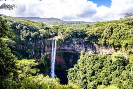 Amazonija nestaje: Za 40 godina izgubljena površina veća od Španije