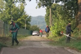 Nastavljeno košenje, orezivanje i uklanjanje suvih stabala na ...