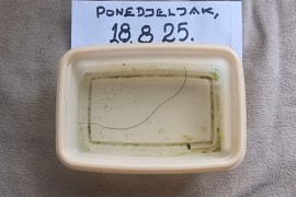 Iz slavine u Banjaluci izašla "konjska dlaka", oglasio se "Vodovod" ...