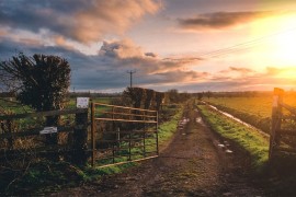 Farmer otkrio 600 miliona dolara na svojoj farmi