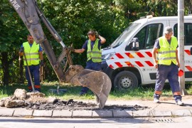 Ulica braće Jugovića u Banjaluci dobiće moderniji, funkcionalniji i ...