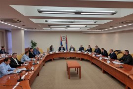 Zasjeda Kolegijum Narodne skupštine: Odluka o referendumu, Dodiku i ...