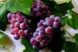 Grožđe je više od slatkog zalogaja: Zdravlje u svakom zrnu