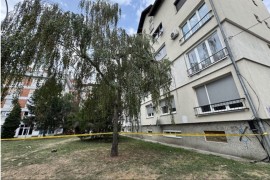 Partnerka spavala u autu dok je inspektor poginuo u pljački stana u ...