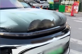 Kinez napravio akvarijum na haubi automobila (VIDEO)