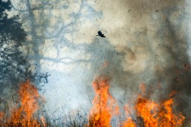 Izbila dva nova požara u Crnoj Gori (VIDEO)