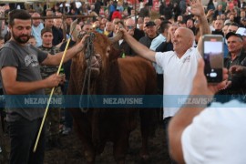 Borbe bikova na Kočićevom zboru: Slavili "Jelenko" i "Roki" (VIDEO)