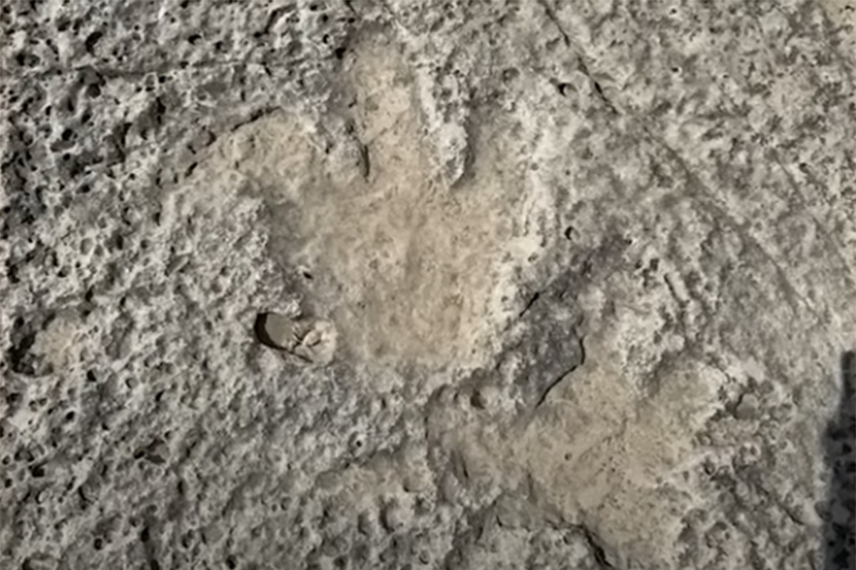 Poplave u Teksasu otkrile otiske dinosaurusa stare oko 115 miliona godina (VIDEO)