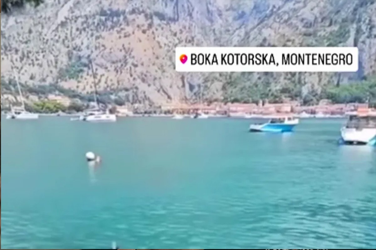 Urnebesan prizor iz Boke Kotorske: “Morsko” prase na ražnju (VIDEO)
