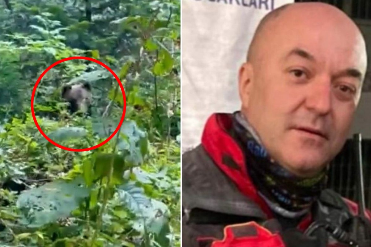 Dramatičan susret spasilaca i medvjeda u Foči (VIDEO)