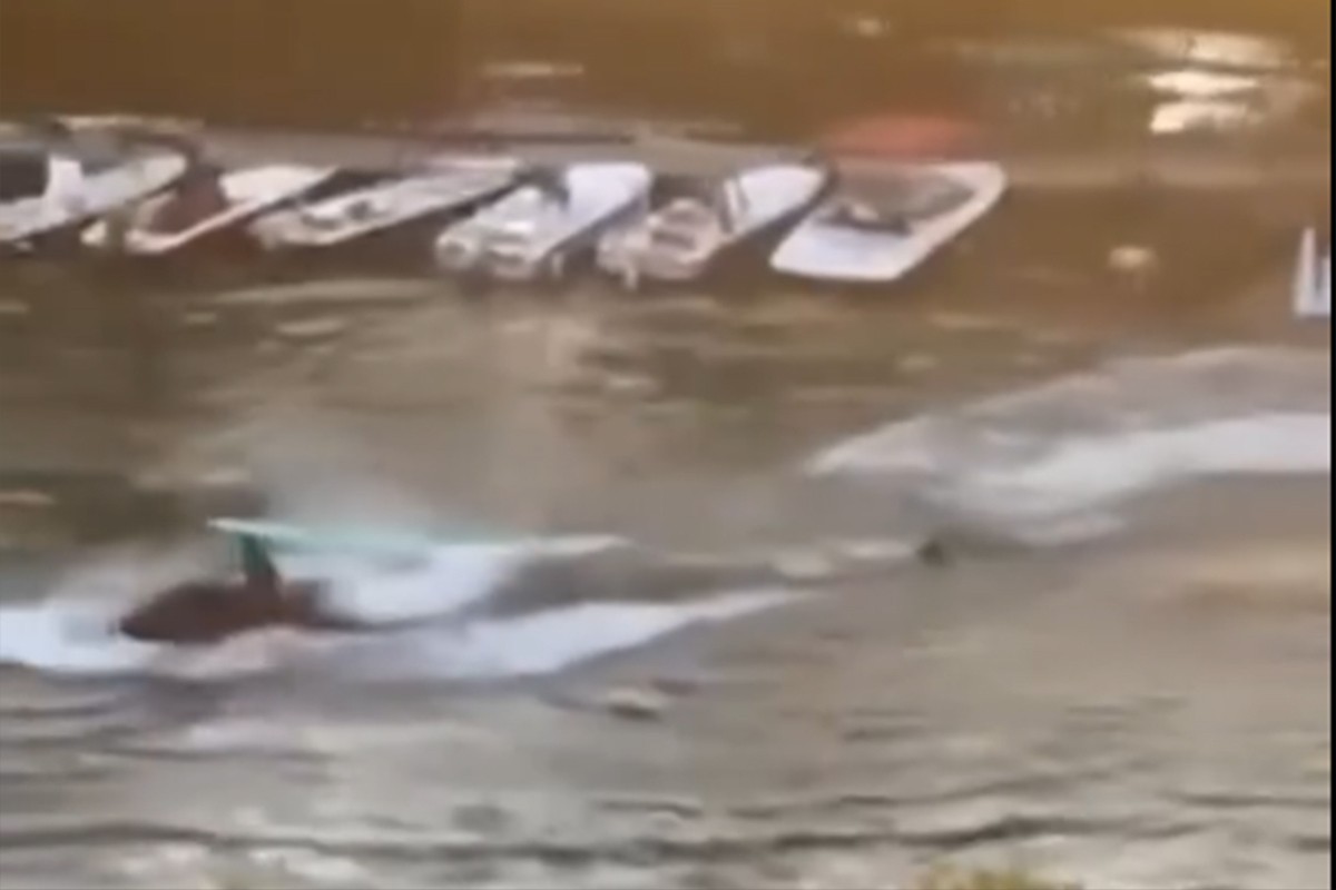 Skuterom gazio djecu na Tamišu nakon svađe s trenerom (UZNEMIRUJUĆI VIDEO)