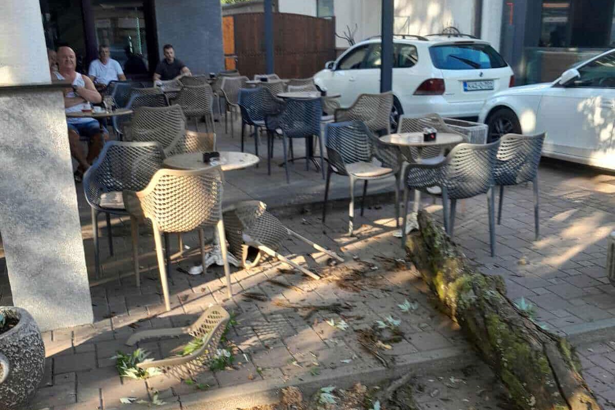 Grana se odlomila i pala u baštu kafića u Sanskom Mostu
