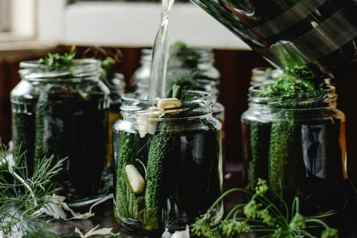 Recept za domaće kisele krastavce bez konzervansa