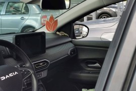 Vatrogasci u autu u Hrvatskoj pronašli najotrovniju zmiju u Evropi ...