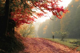 Meteorolozi objavili prognozu za naredne dane: Šta nam donosi ...