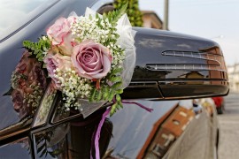 Pauk odnio mladenački auto u Srbiji, oglasio se vlasnik (FOTO)