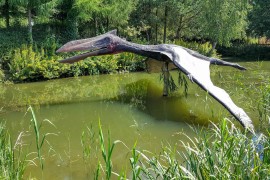 Obdukcija poslije 150 miliona godina otkrila uzrok smrti pterosaura
