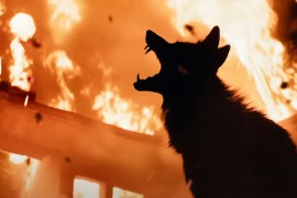 Horor-komedija "Coyotes" donosi borbu između životinja i ljudi (VIDEO)