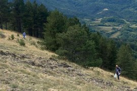 Gostilj na Ozrenu: Građani brali travu ivu