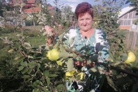 Povratnica u Mičije sije optimizam: Plantaža dunje Angele Ćorković ...