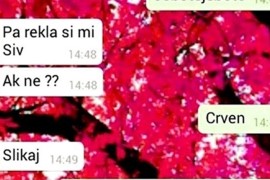 Momku se pohvalila: “Tata mi je kupio Passata”, a onda mu je ...