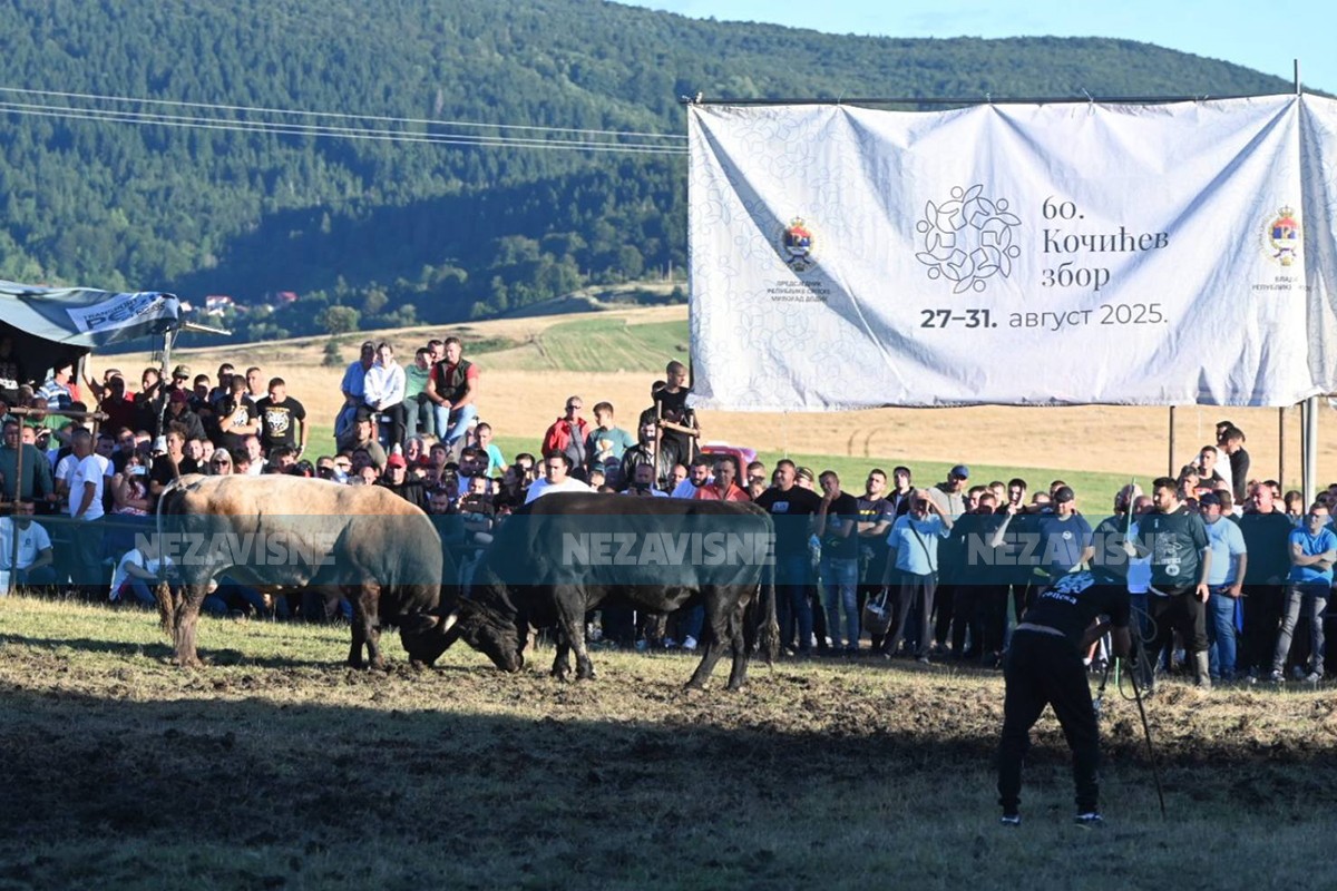 Djevojka osumnjičena da je izbola mladića na zboru bila pod dejstvom alkohola