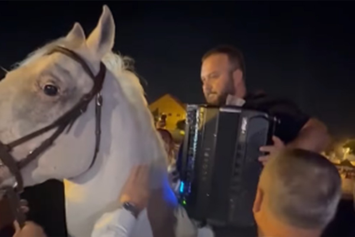 Borko kao Ćana: Ona je pjevala iz kamiona, on svira na konju (VIDEO)