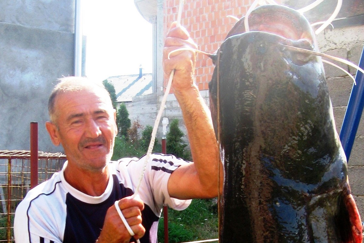 Kako je Asim Duraković ulovio soma dužeg od sebe (FOTO)