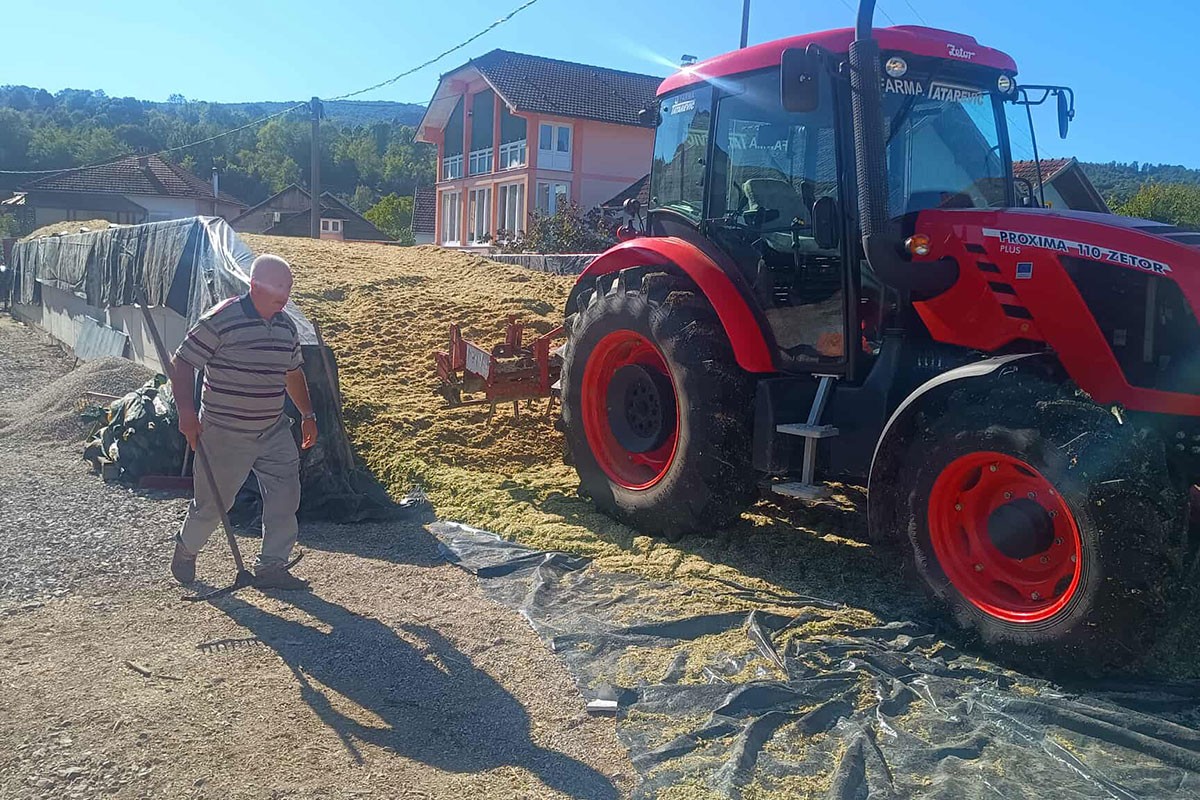 Rod kukuruza prepolovljen, da li nas čekaju nova poskupljenja?