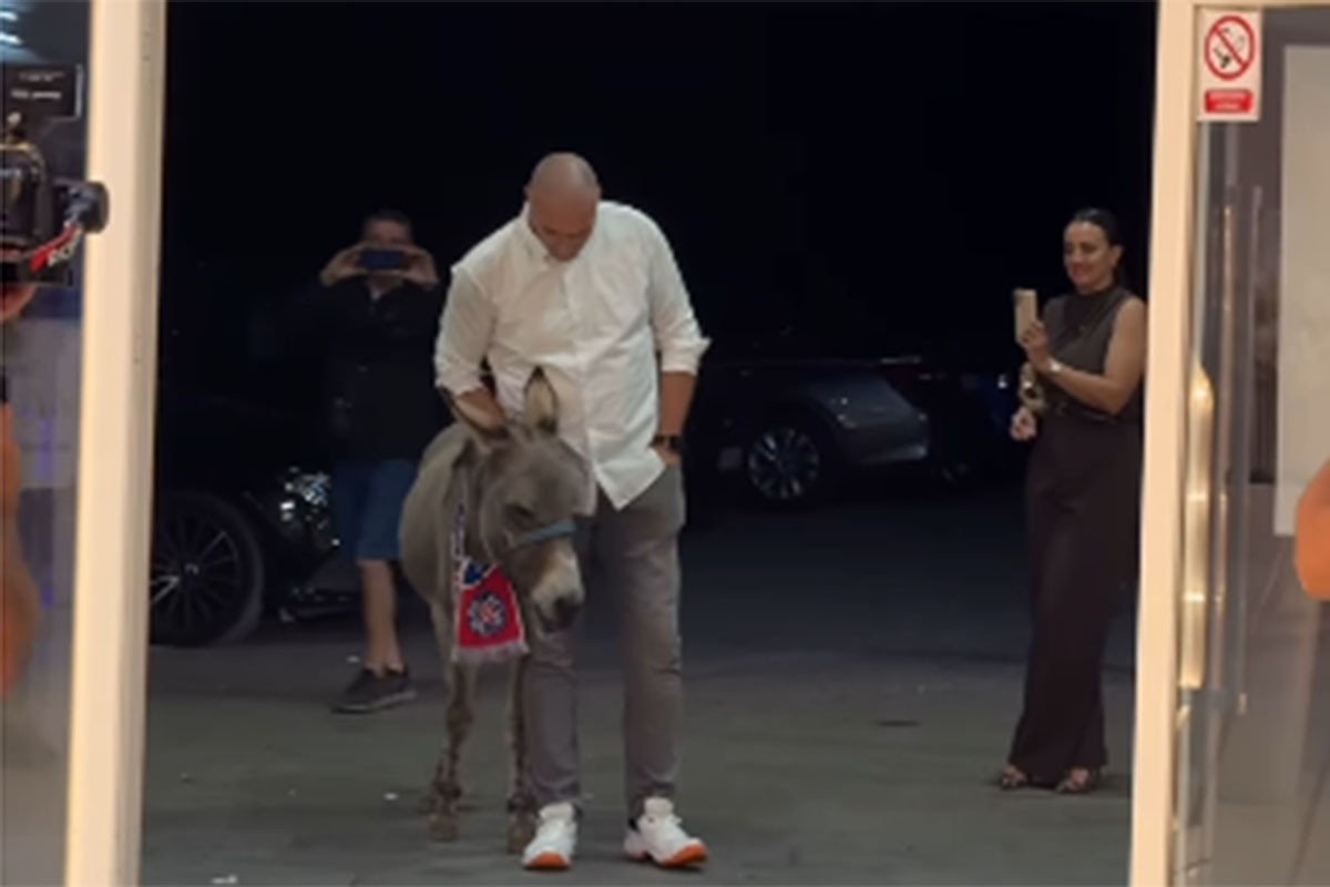 Mostarska svadba postala hit: Kum iznenadio mladoženju magarcem (VIDEO)