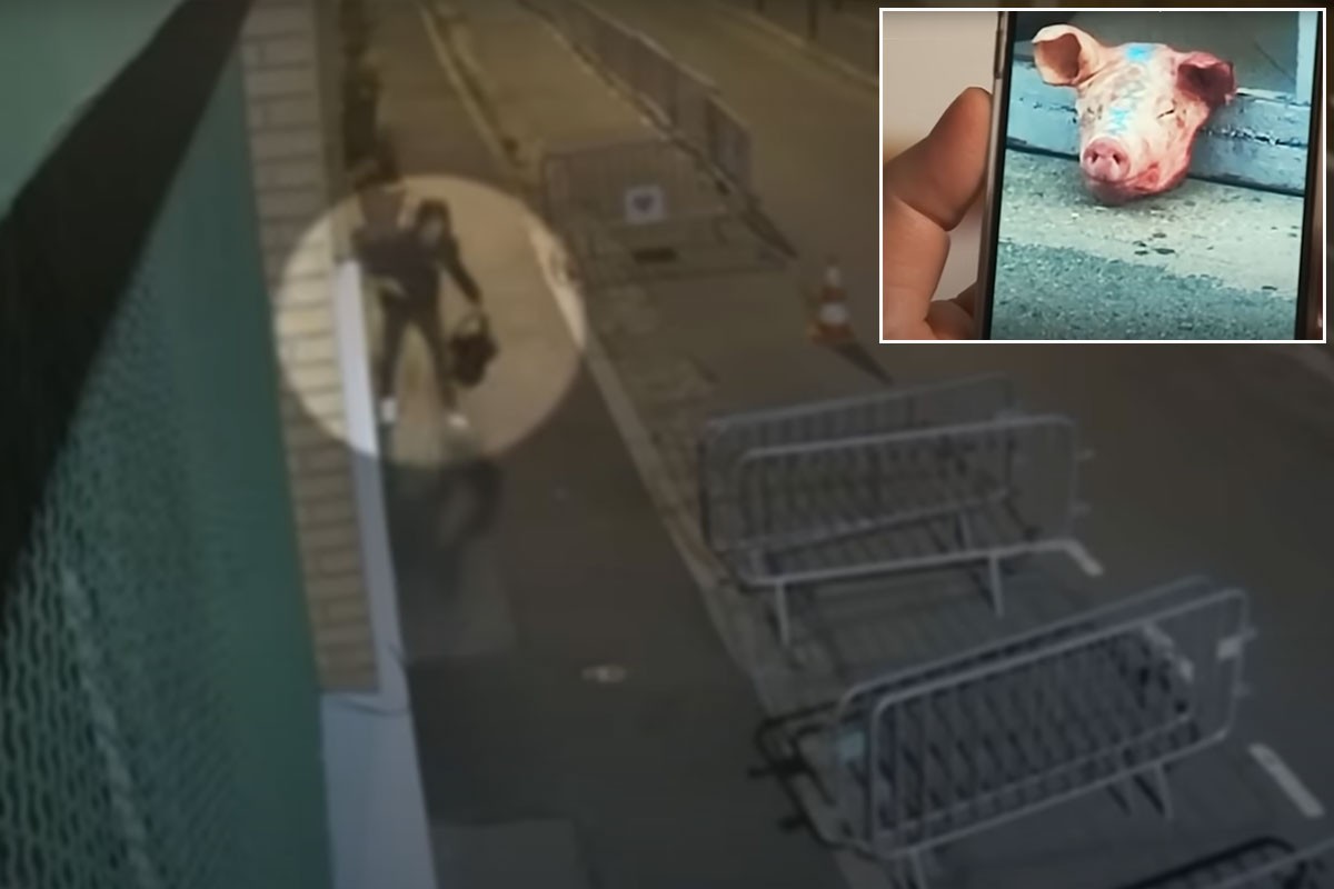 Srbin uhapšen zbog špijunaže: Ostavljao svinjske glave pred džamijom u Parizu (VIDEO)
