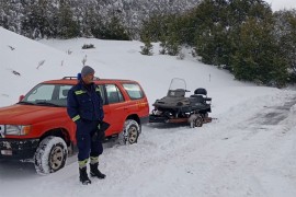 Spasioci krenuli ka Sinjajevini i Bjelasici, stočari i stada ...