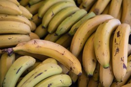 U Rusiji će se uzgajati banane
