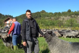 Napustio Švajcarsku nakon 40 dana i vratio se svojim ovcama u BiH ...