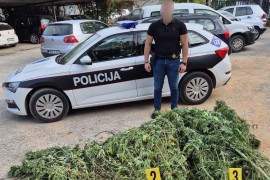 U plasteniku pronašli 50 kg droge