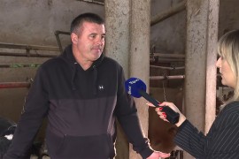 Goran Mugoša poklanja mlijeko: "Ko god hoće, neka dođe na farmu" ...
