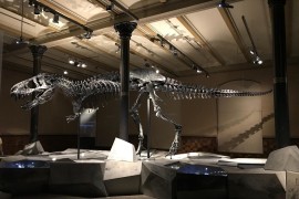 Pronađen jedan od najstarijih dinosaurusa