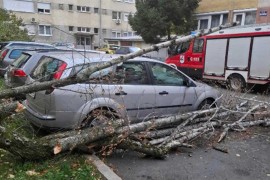 Banjalučki vatrogasci imali više intervencija, uklanjali stabla sa ...