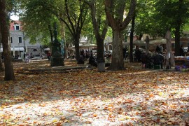 Lišće zadaje glavobolje građanima Trebinja