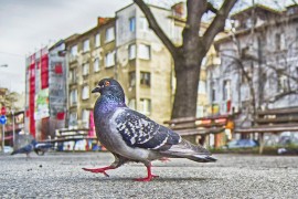 Ruska državna kompanija zaobišla sankcije tajnom prodajom nekretnine ...
