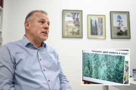 Pančićevoj omorici u RS treba zaštita, uključeni i istraživači s ...