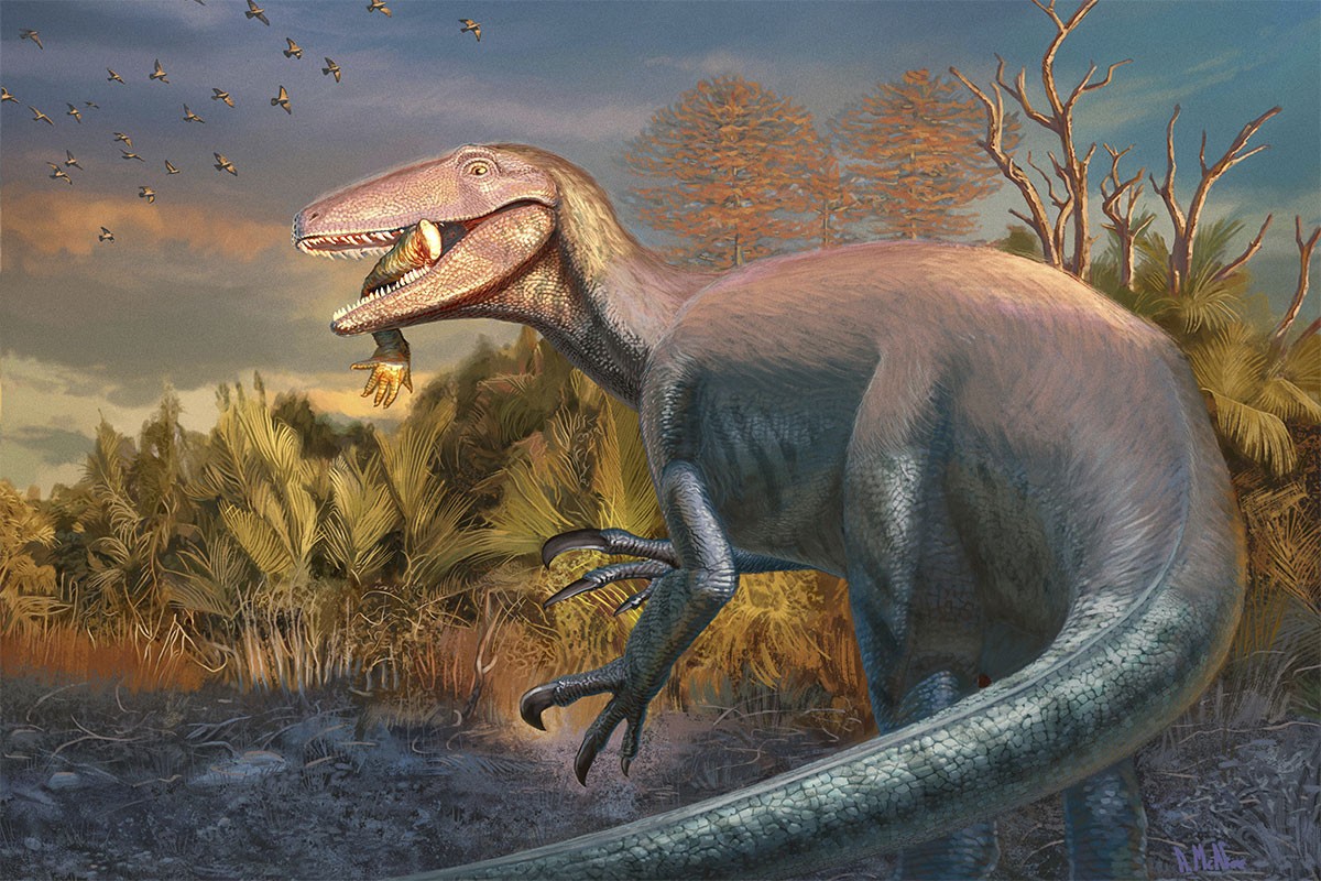 Laserskom metodom datiranja otkriveno dinosaurusovo jaje staro 86 miliona godina
