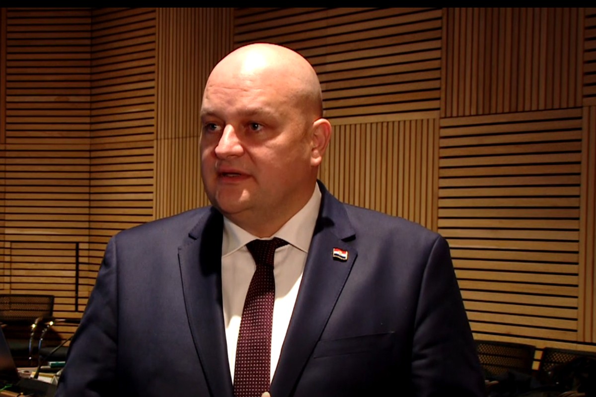 Šušnjar: Hrvatska spremna kupiti NIS, hoćemo da pomognemo i BiH