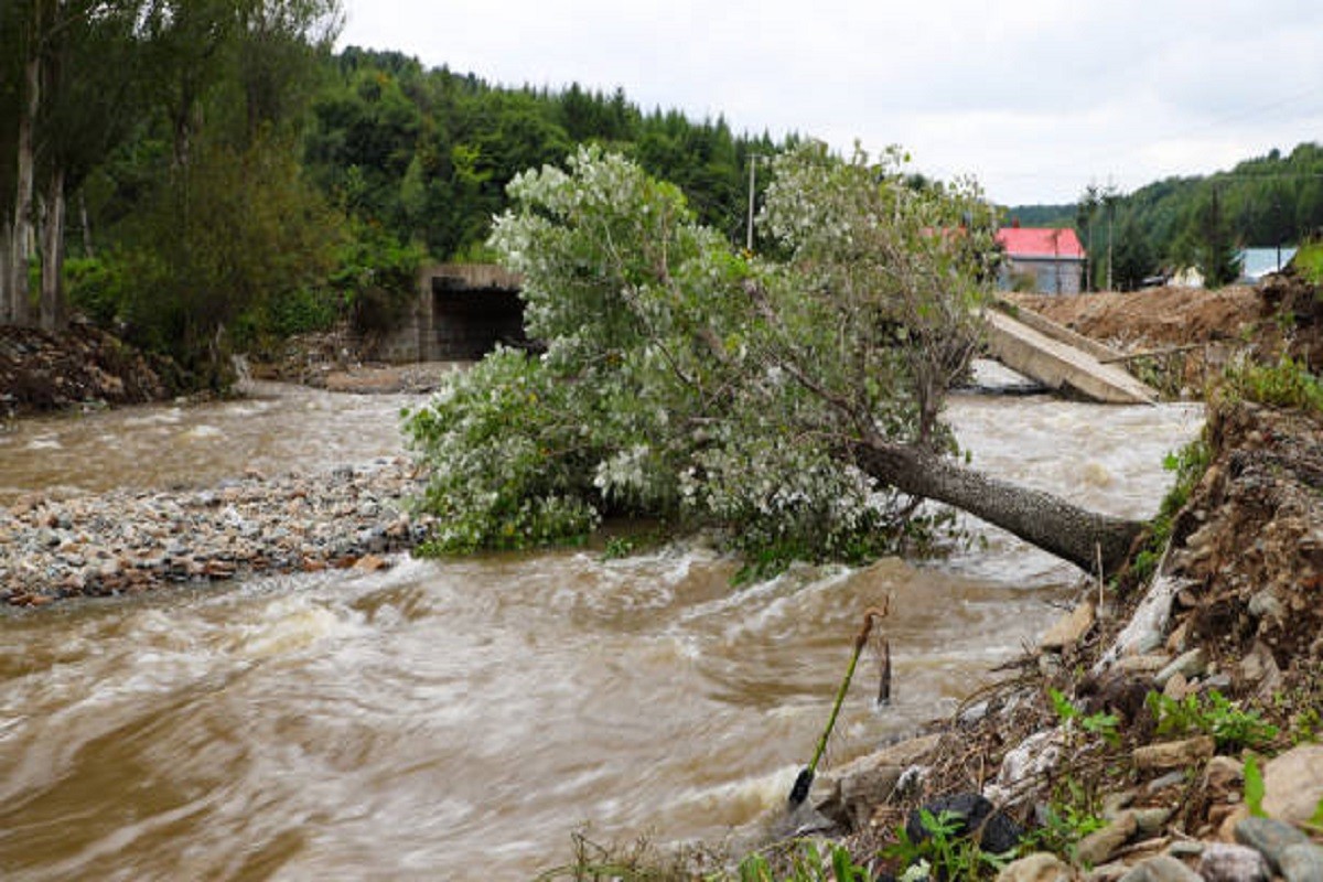 Obilne kiše u Meksiku: Poginule najmanje 23 osobe