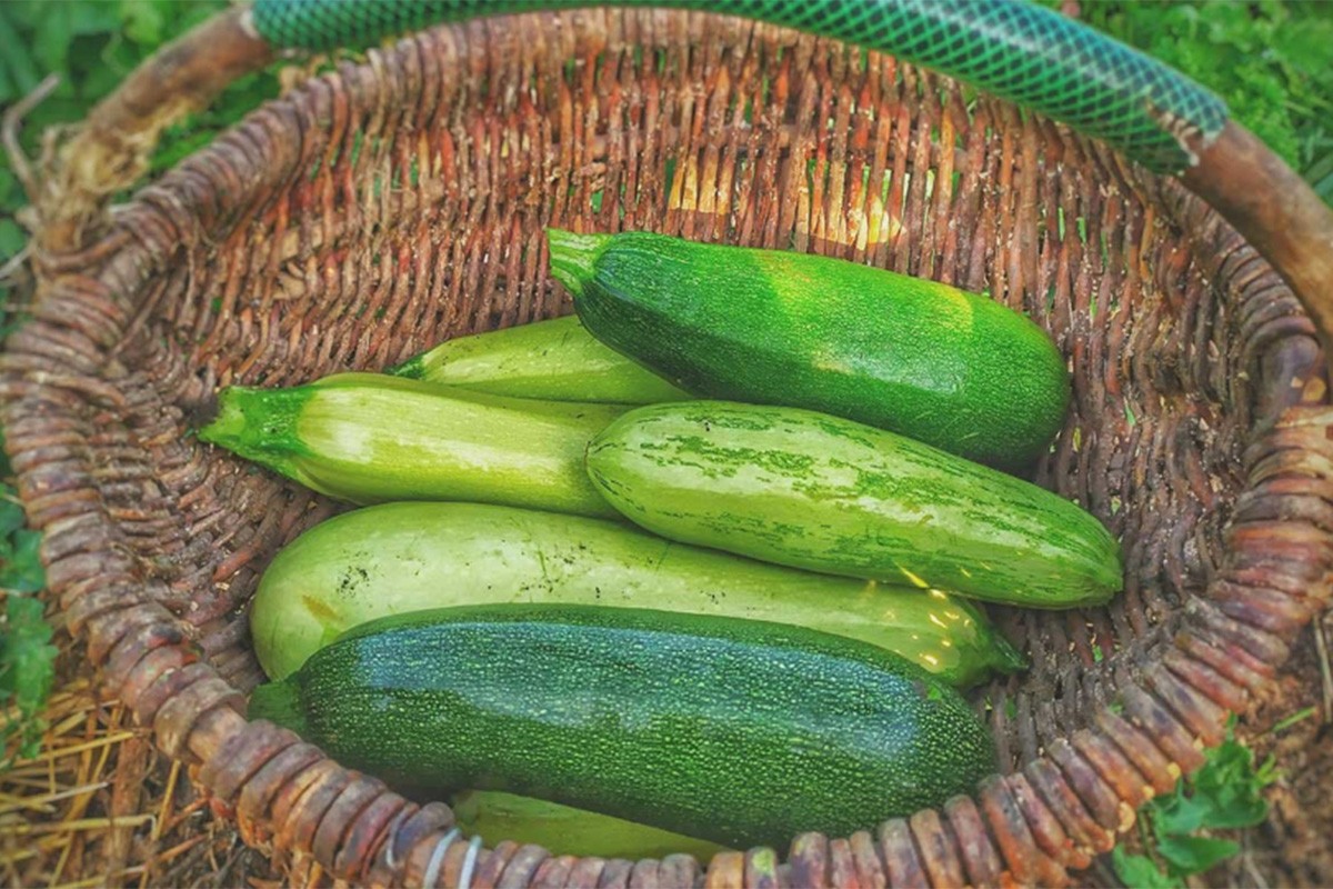 Zdravi pomfrit od tikvica